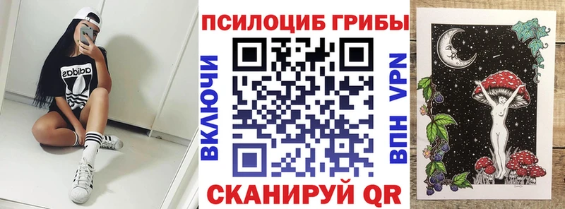 Галлюциногенные грибы Cubensis  Красногорск 