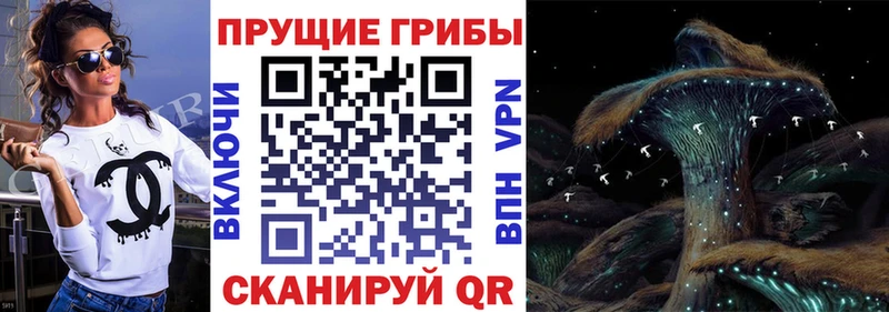 Галлюциногенные грибы ЛСД Красногорск